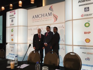 AMCHAM Presentation 15