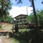 driveway up to house in Panama